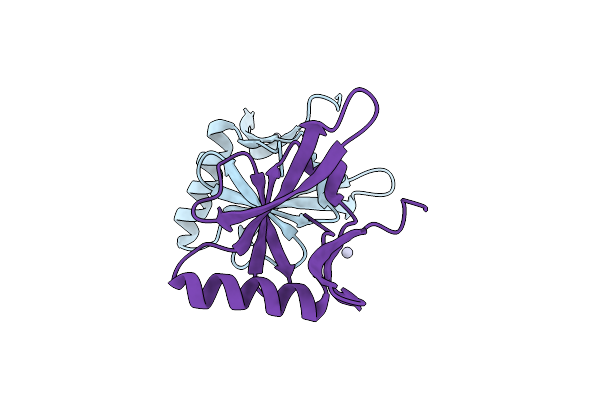 1R94 image