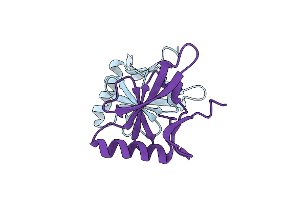 1R95 image