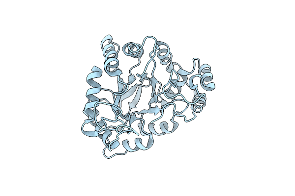 1RAL image