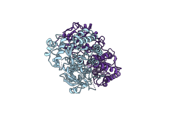 1RBA image