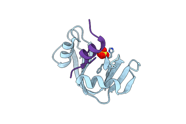 1RBC image