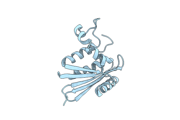 1RBV image