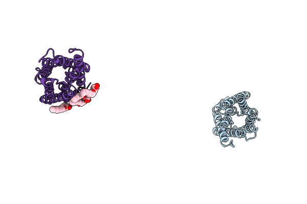 1RC2 image