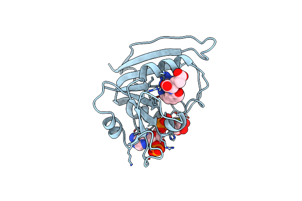 1RC4 image