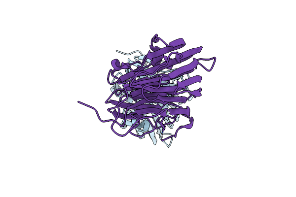 1RC6 image