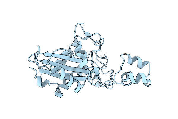 1RC9 image