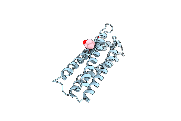 1RCC image