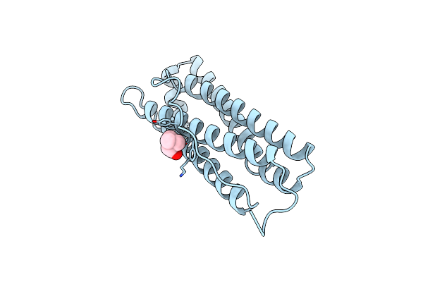 1RCG image