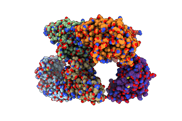 1RDF image