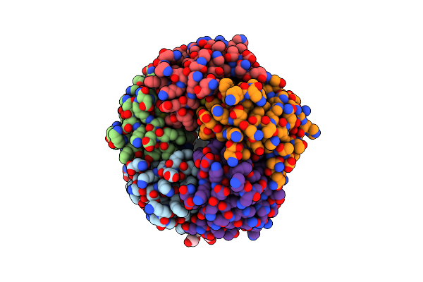 1RDP image