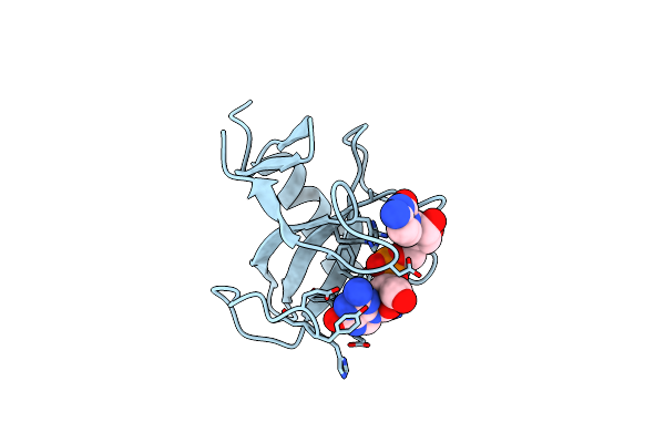1RDS image