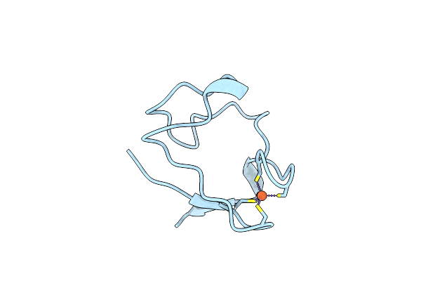 1RDV image
