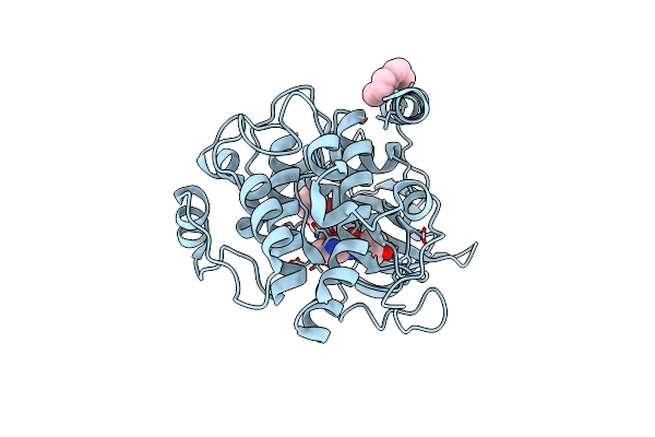 1RE8 image