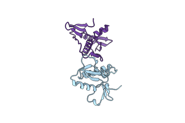 1REG image