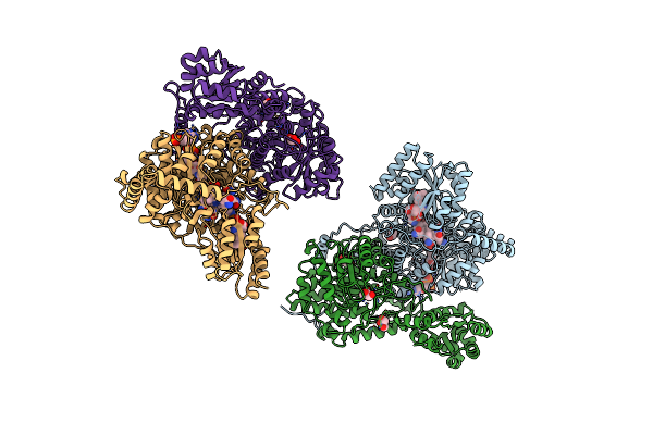 1REQ image
