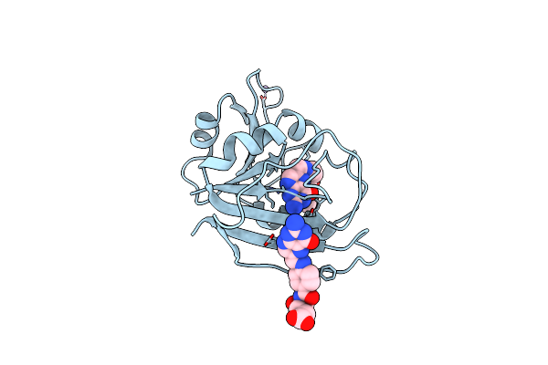 1RF7 image