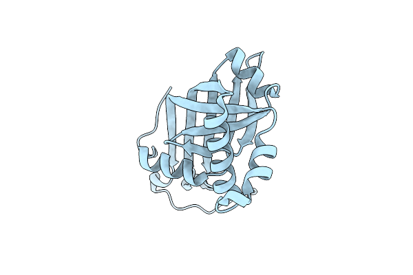 1RFE image