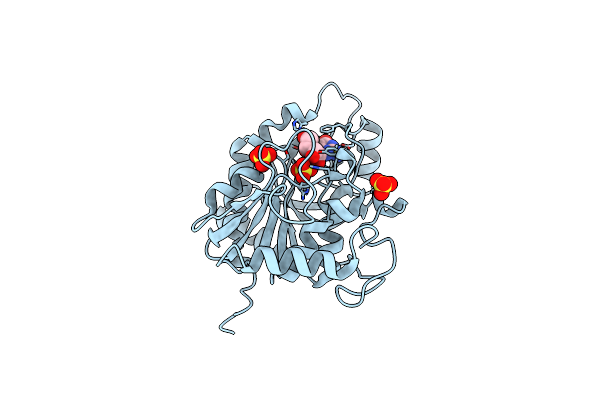 1RFG image
