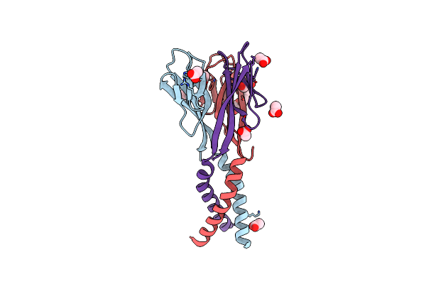 1RFX image