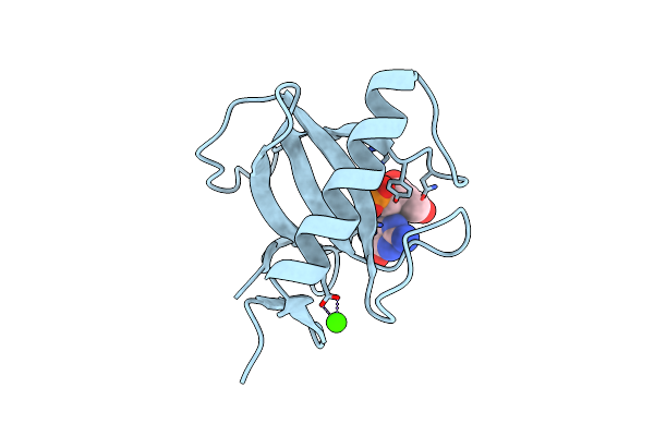 1RGL image