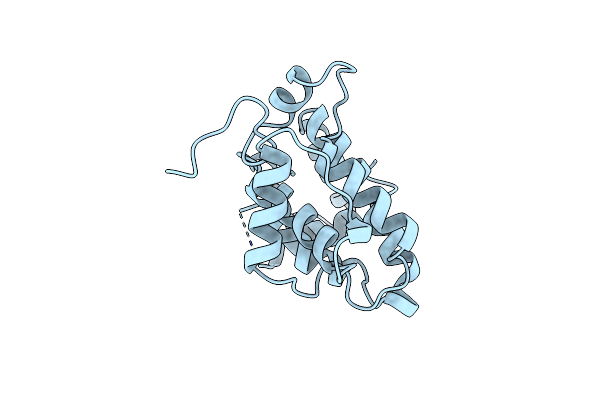 1RGP image
