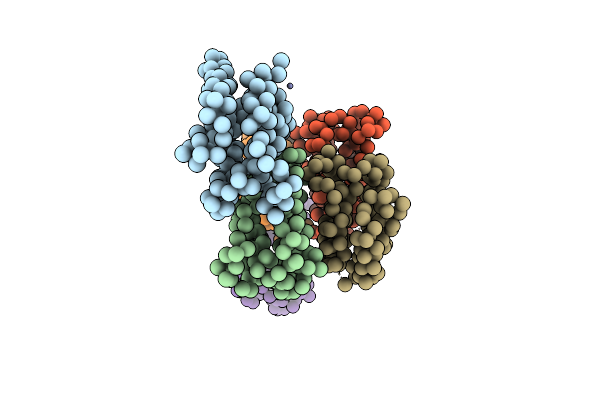 1RH2 image