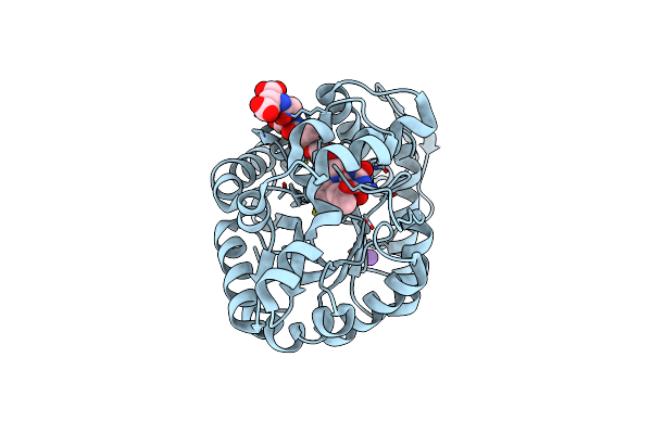1RHC image