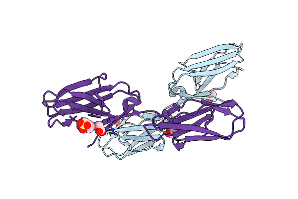 1RHF image