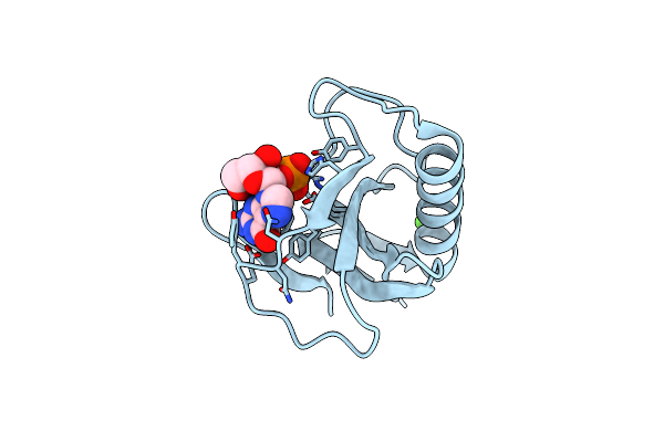 1RHL image
