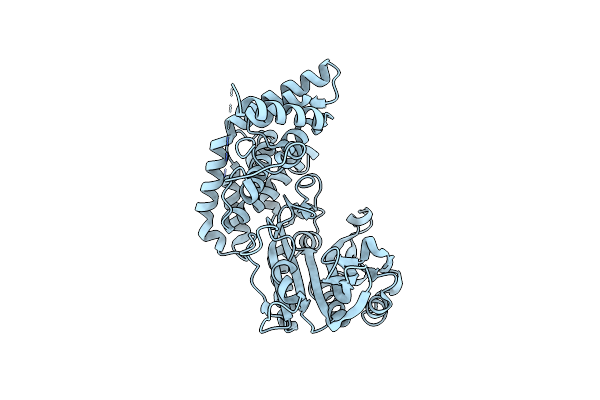 1RIQ image