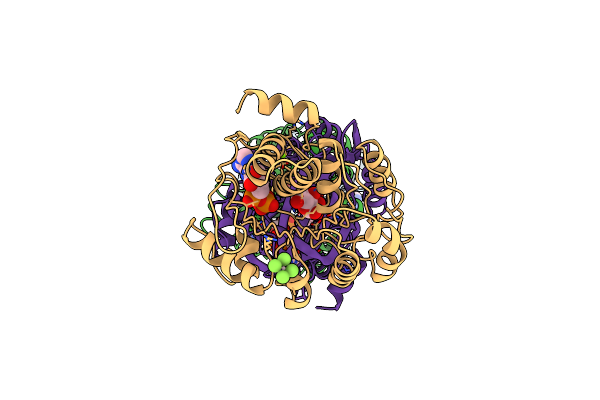 1RK2 image