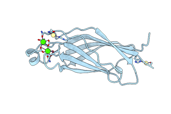 1RLW image