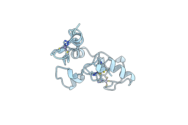 1RMD image