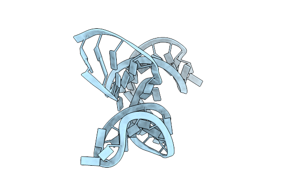 1RMN image
