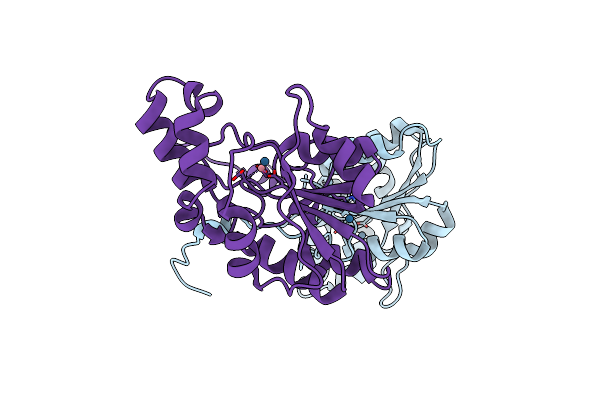 1RMQ image