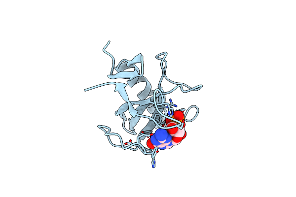 1RMS image