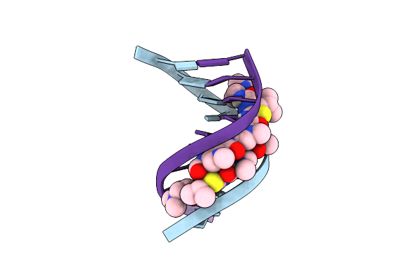 1RMX image