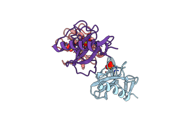 1RN1 image