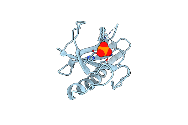 1RN4 image