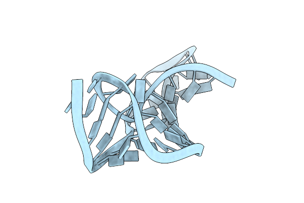 1RNK image