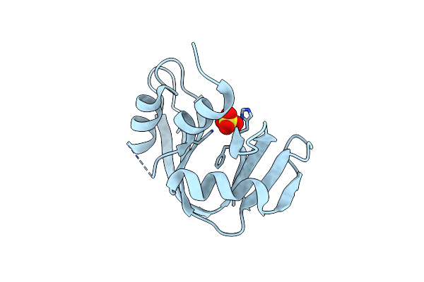 1RNV image