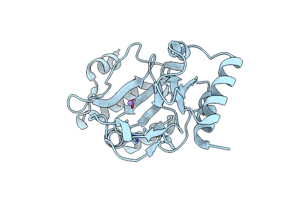 1RO2 image