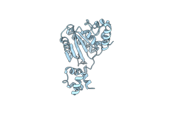 1RPL image