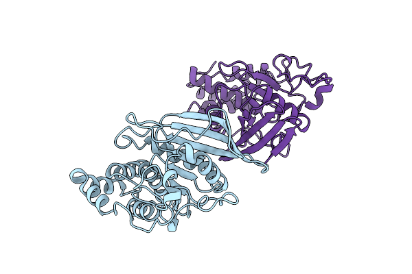 1RPM image