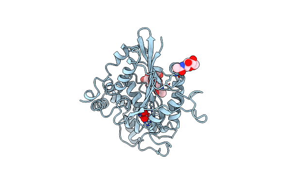 1RPT image
