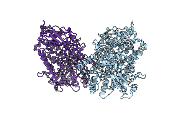 1RRL image