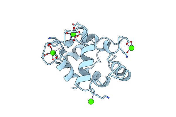 1RRO image