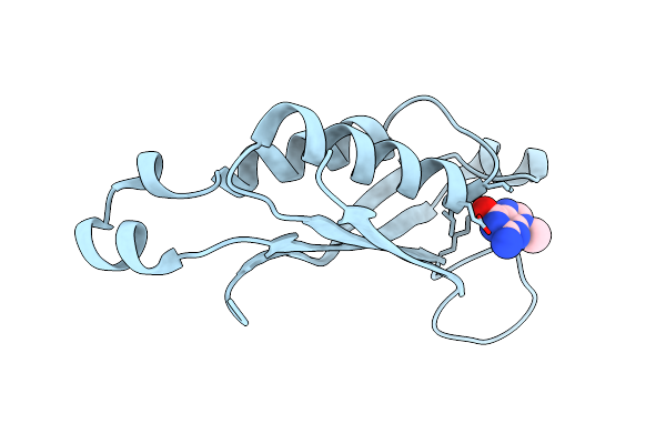 1RRW image