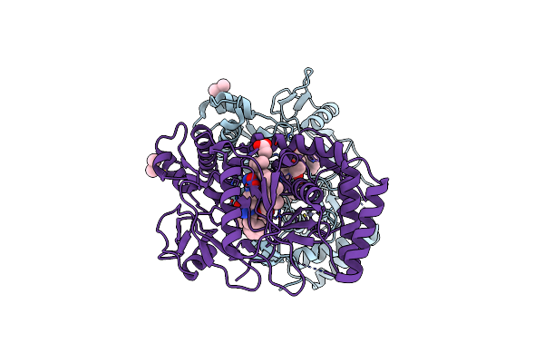 1RS9 image