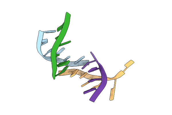 1RSB image